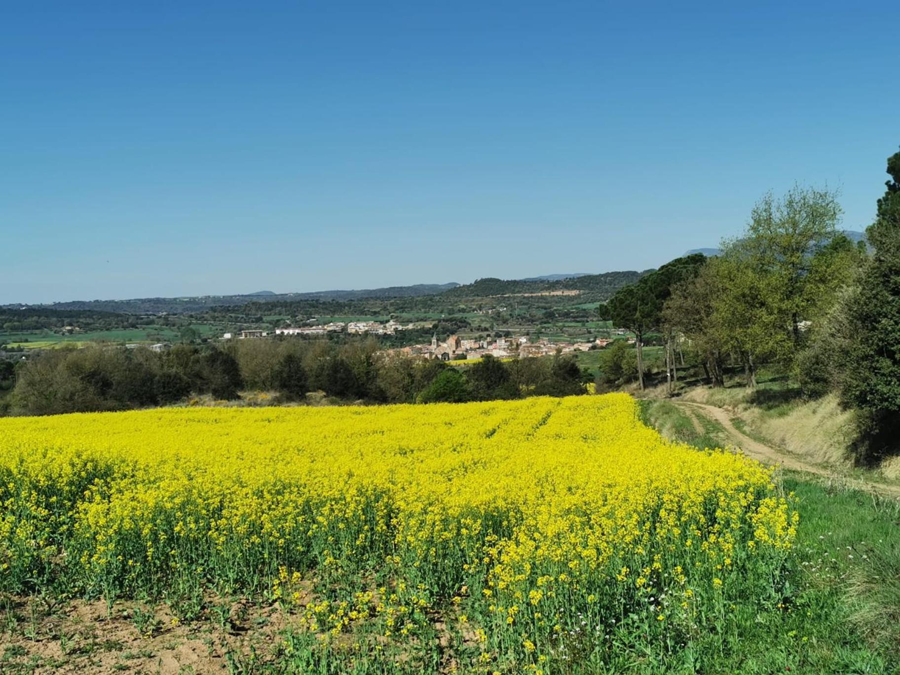 Ca L'Herminia Gironella Luaran gambar
